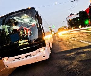 Turistbusser er igen blevet populære